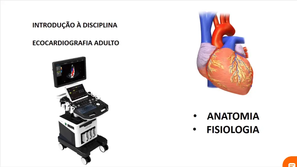 Introdução ao Eco Adulto